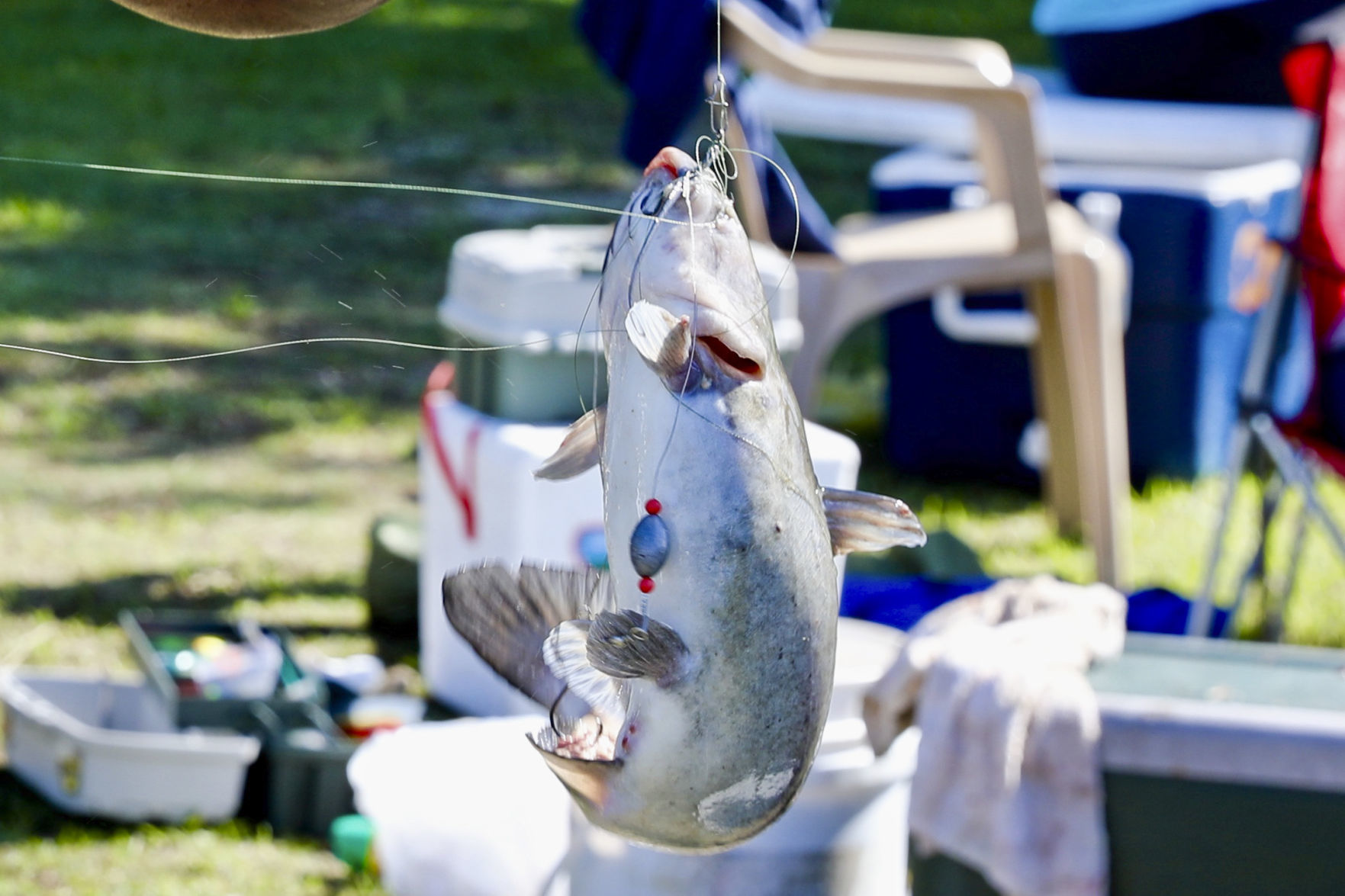 Community Fishing Day
